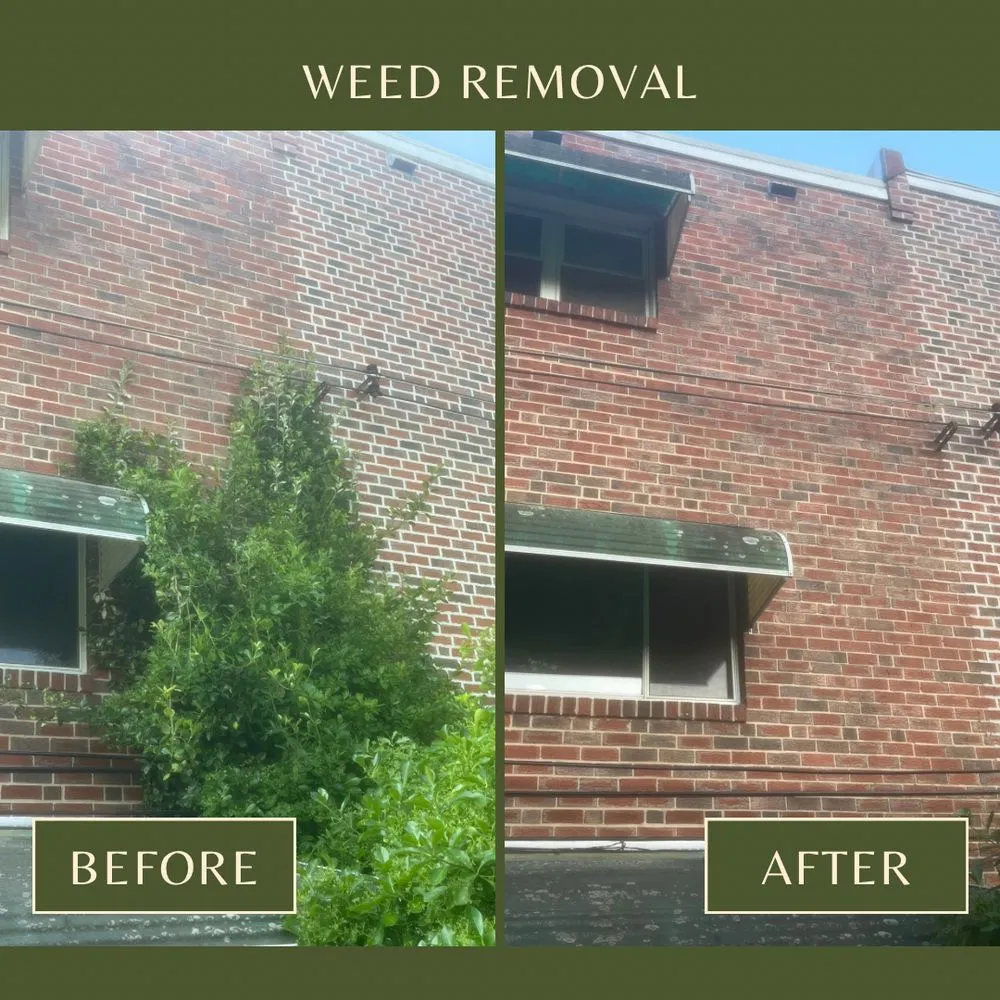 Professional lawn mowing service experts serving Philadelphia, PA - Triple S Landscaping