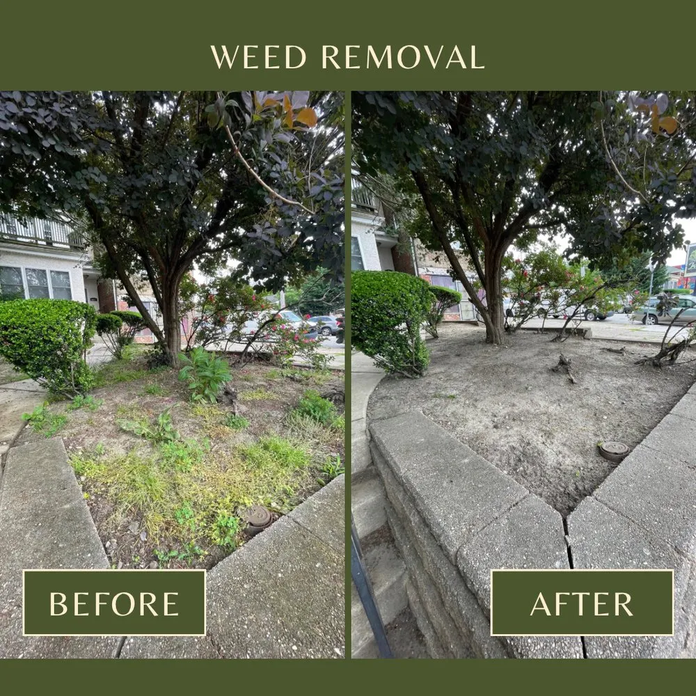 Affordable landscaping services experts serving Philadelphia, PA - Triple S Landscaping