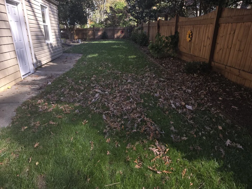 Reliable landscaping services for beautiful yards across Winston-Salem, NC - Triple Services