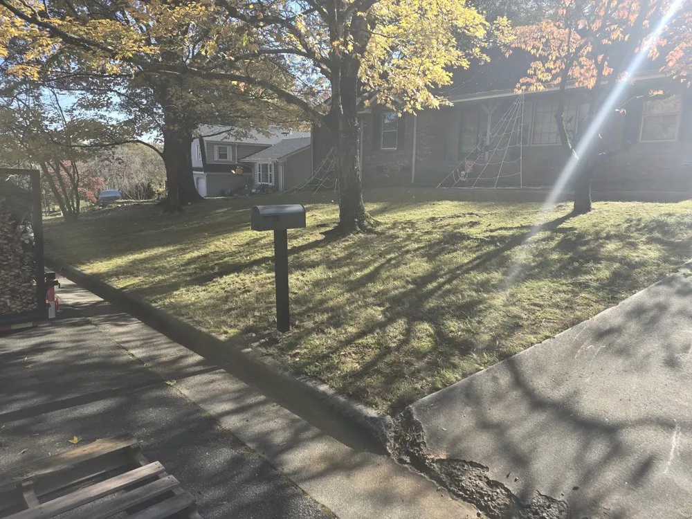 Expert lawn care service in Winston-Salem, NC by Triple Services