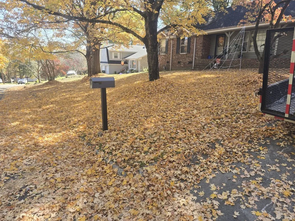 Custom landscaping services in Winston-Salem, NC by Triple Services
