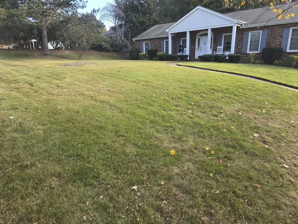 Affordable landscaping services for outdoor upgrades across Winston-Salem, NC - Triple Services