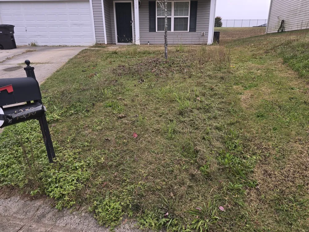 Local lawn mowing service in Winston-Salem, NC - Triple Services
