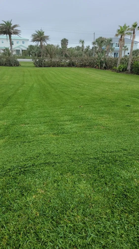 Affordable yard cleanup service in Osteen, FL by Triple Seven Landscaping
