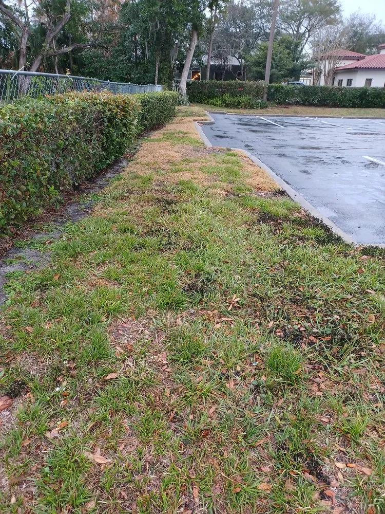 Professional landscaping services near you in Osteen, FL by Triple Seven Landscaping
