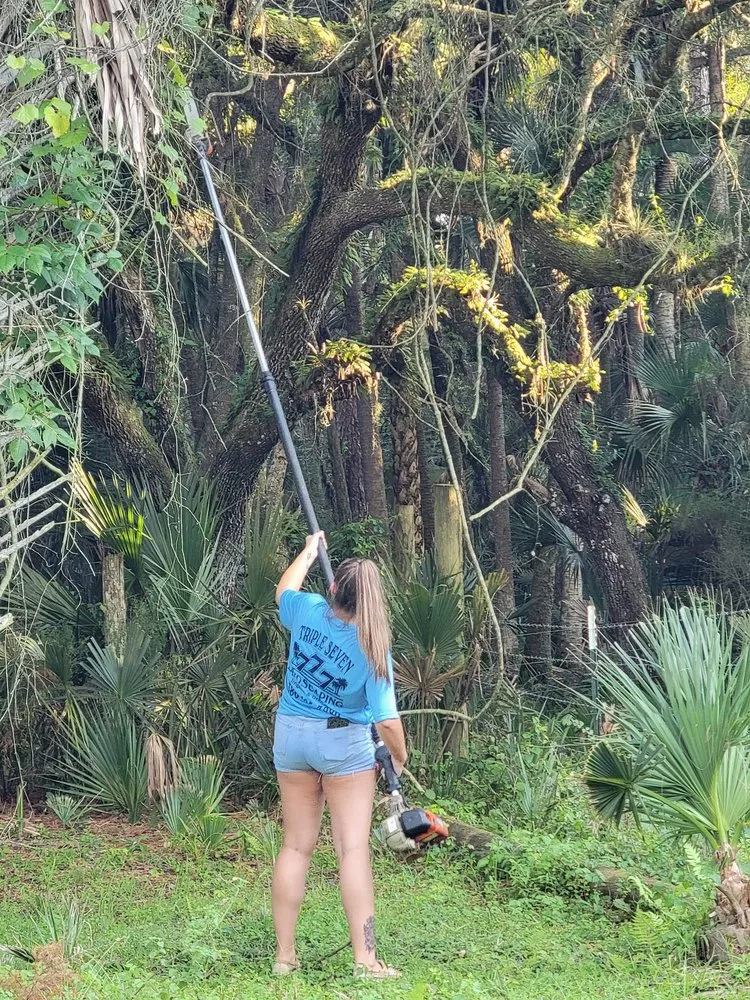 Trusted yard cleanup service for residential properties across Osteen, FL - Triple Seven Landscaping