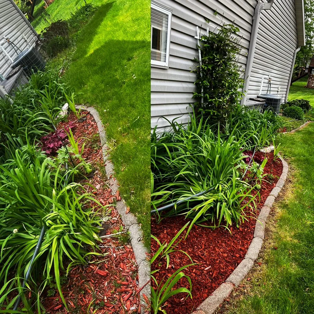 Top-rated yard cleanup service in Rochester, MN - Triple Shot Lawn & Landscape