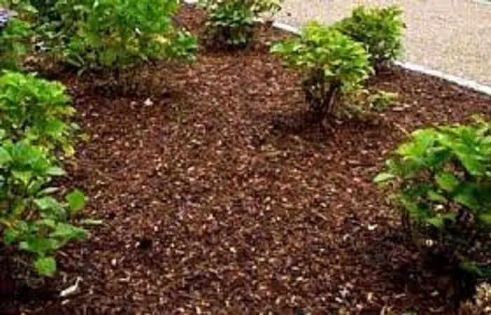 Custom lawn care service in Wellford, SC - Triple Sticks Landscape Construction