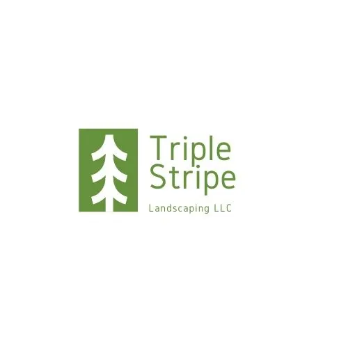 Local landscape design for residential properties across San Antonio, TX - Triple Stripe Landscaping