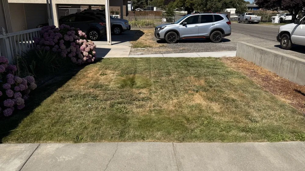 Reliable yard maintenance in Kennewick, WA - Triple Touch Lawn Care