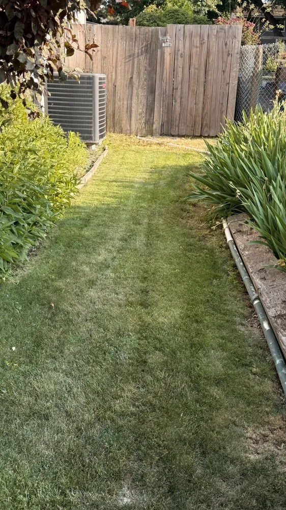Affordable landscape installation in Kennewick, WA - Triple Touch Lawn Care