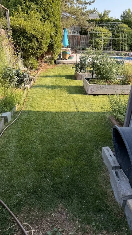 Trusted landscape installation for outdoor upgrades in Kennewick, WA by Triple Touch Lawn Care
