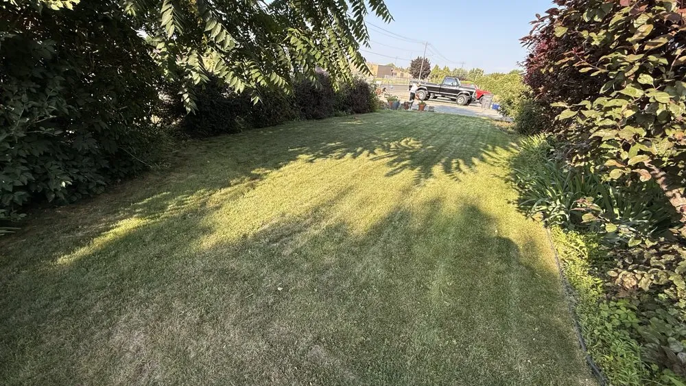 Top-rated outdoor landscaping experts serving Kennewick, WA - Triple Touch Lawn Care