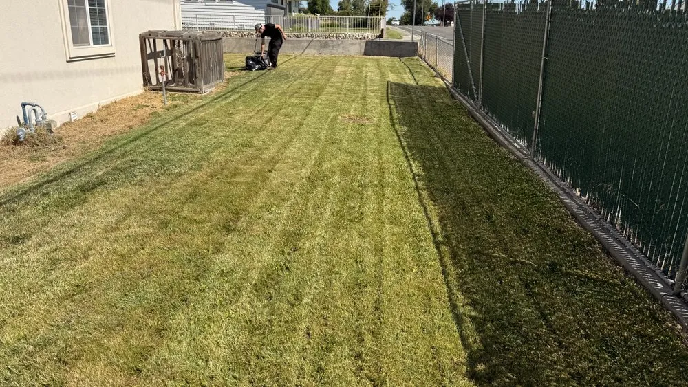 Expert lawn care service in Kennewick, WA - Triple Touch Lawn Care