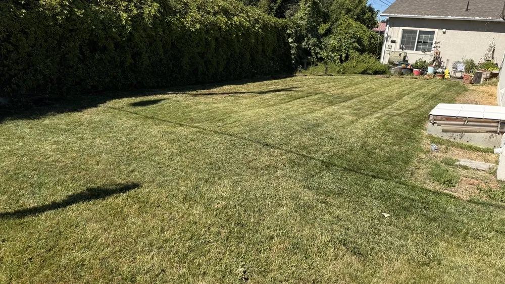 Top-rated landscape installation for beautiful yards across Kennewick, WA - Triple Touch Lawn Care