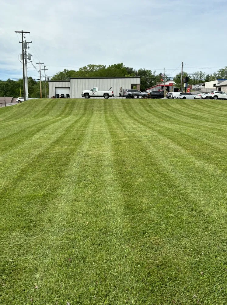 Expert landscaping services near you in Princeton, WV by Triple V Services