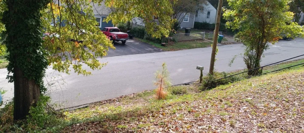 Reliable landscaping services for residential properties across Richmond, VA - Triple Wrights Lawncare