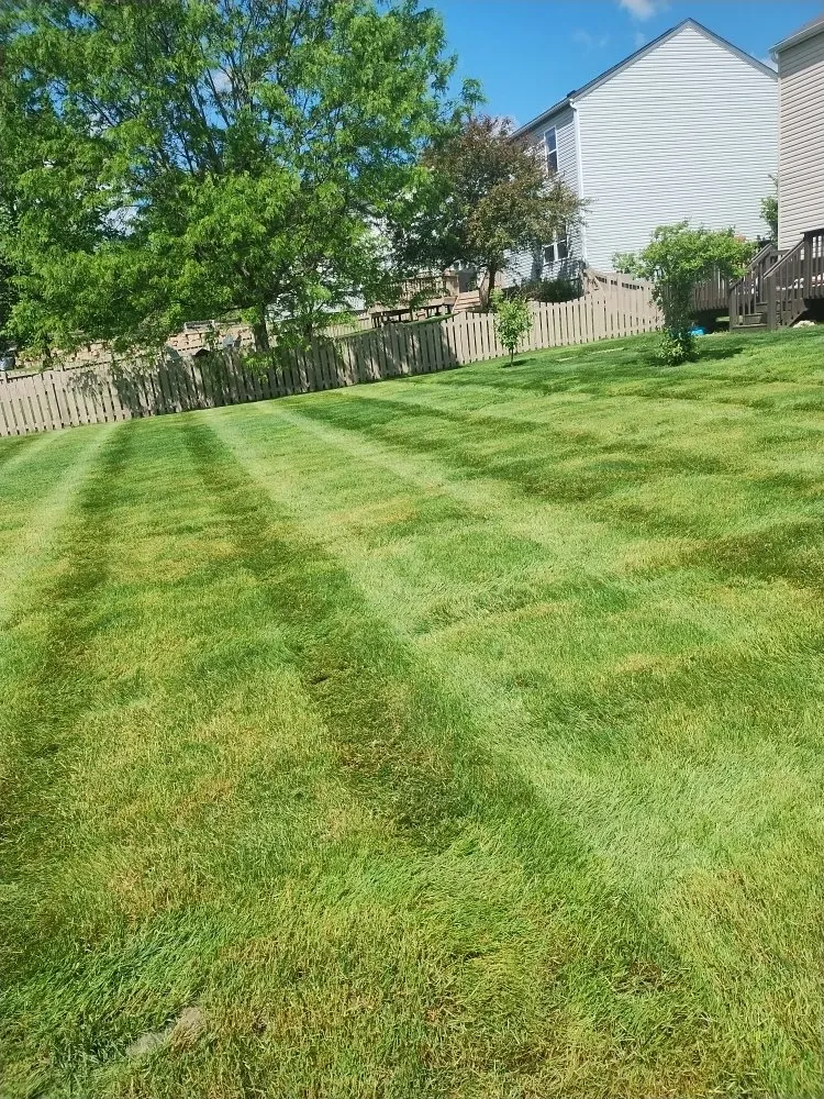 Top-rated yard maintenance in Galena, OH by Triple X Lawn & Landscape Services