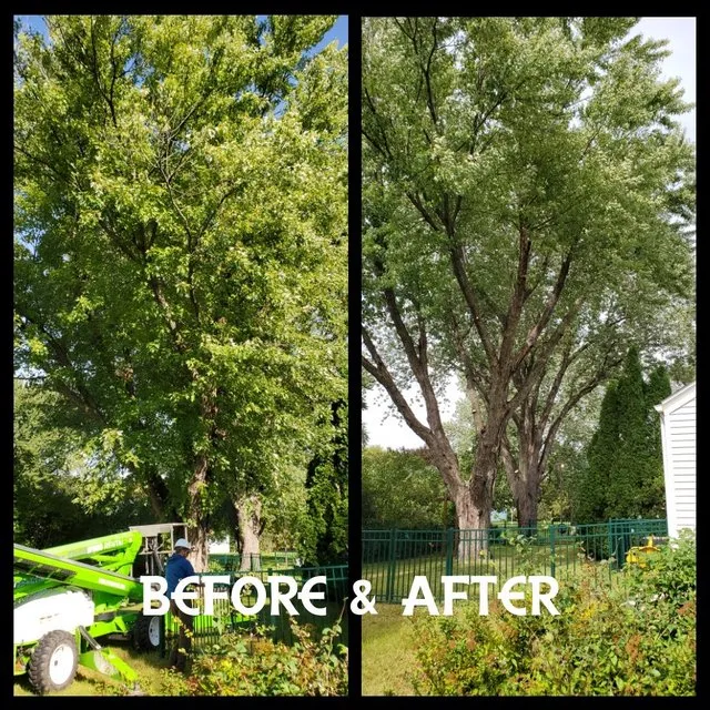 Reliable lawn mowing service for year-round maintenance in Lakeland, FL by Triple x Tree Service and Landscape