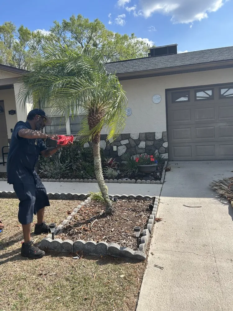 Top-rated garden landscaping in Lake Alfred, FL - Triple’e lawn service & Pressure wash