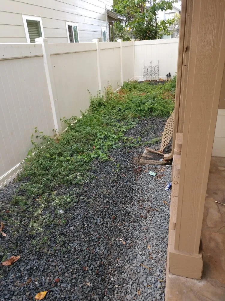Custom outdoor landscaping in Ewa Beach, HI by Triplejs Yard Landscaping Maintenance Service