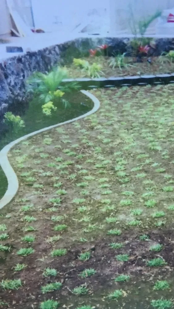 Local yard maintenance in Ewa Beach, HI - Triplejs Yard Landscaping Maintenance Service