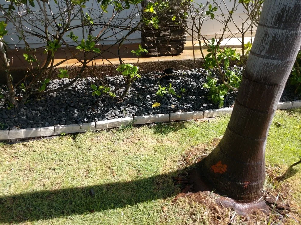 Reliable landscaping services for outdoor upgrades in Ewa Beach, HI by Triplejs Yard Landscaping Maintenance Service