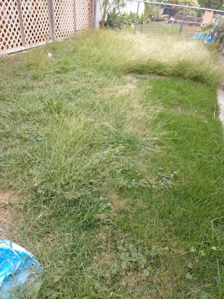 Expert landscape installation experts serving Ewa Beach, HI - Triplejs Yard Landscaping Maintenance Service