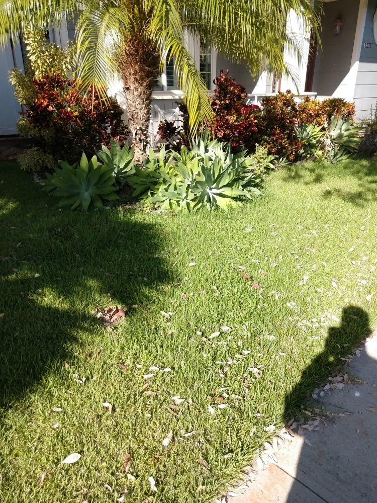 Reliable residential landscaping experts serving Ewa Beach, HI - Triplejs Yard Landscaping Maintenance Service