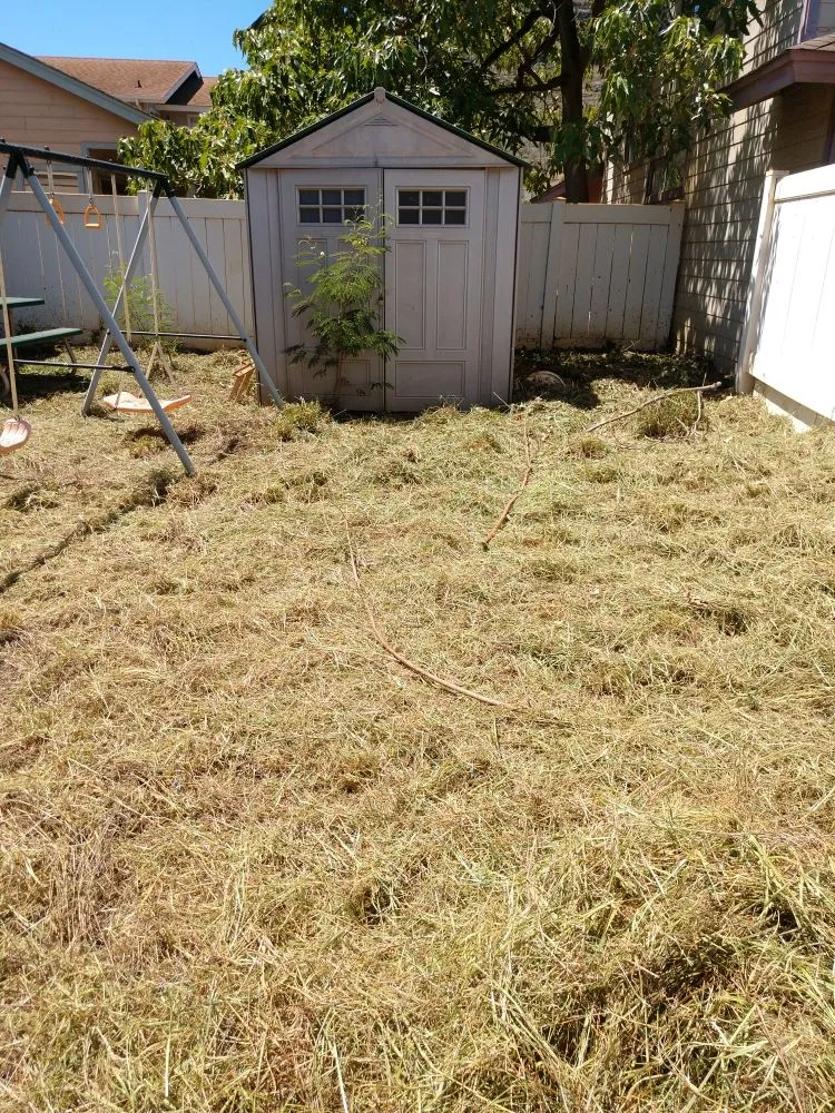 Top-rated garden landscaping for outdoor upgrades in Ewa Beach, HI by Triplejs Yard Landscaping Maintenance Service