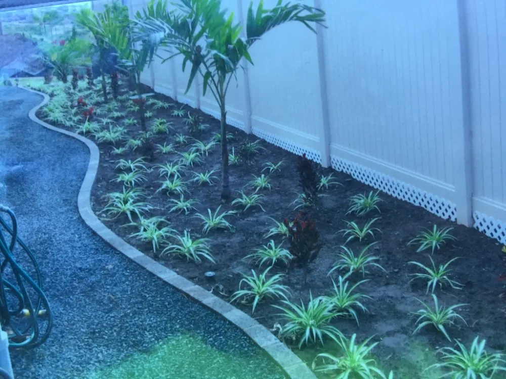 Local yard maintenance experts serving Ewa Beach, HI - Triplejs Yard Landscaping Maintenance Service