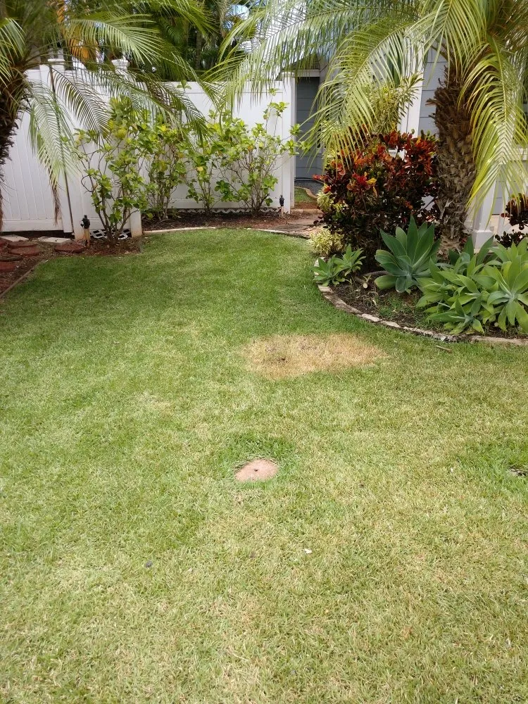 Custom garden landscaping in Ewa Beach, HI by Triplejs Yard Landscaping Maintenance Service