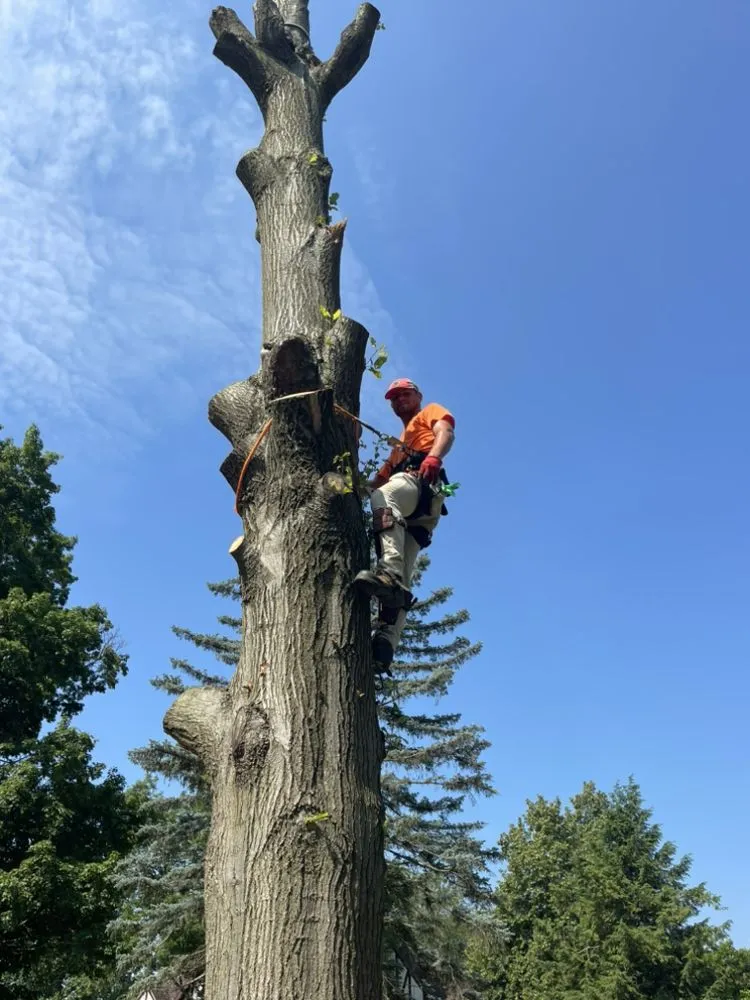 Custom residential landscaping for beautiful yards in Centerville, IN by TripleLC