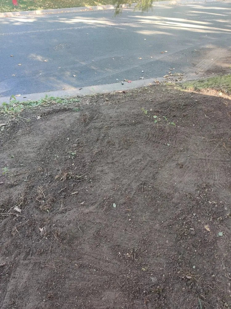 Trusted yard cleanup service in Hastings, MN - Triplett Lawn Care