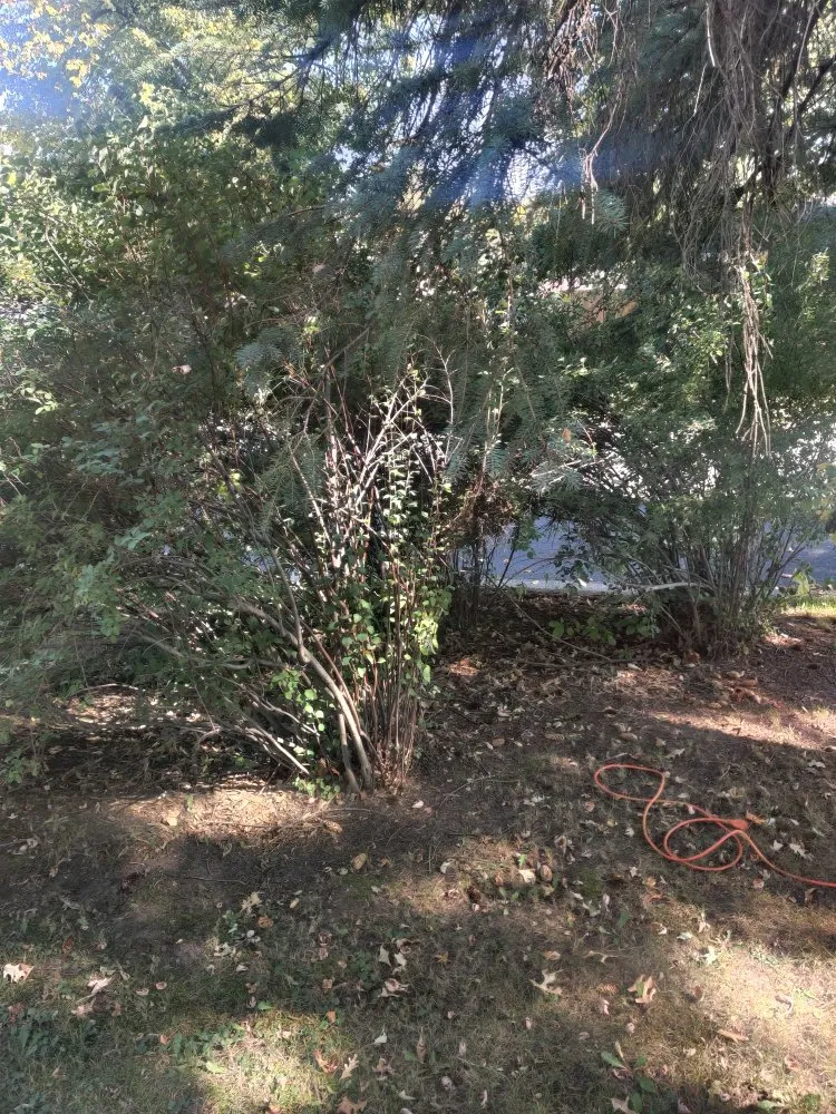 Reliable landscape design for outdoor upgrades across Hastings, MN - Triplett Lawn Care