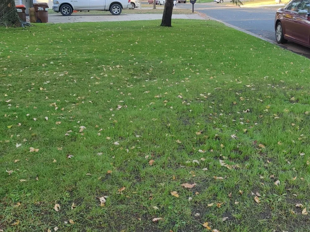 Professional outdoor landscaping in Hastings, MN by Triplett Lawn Care