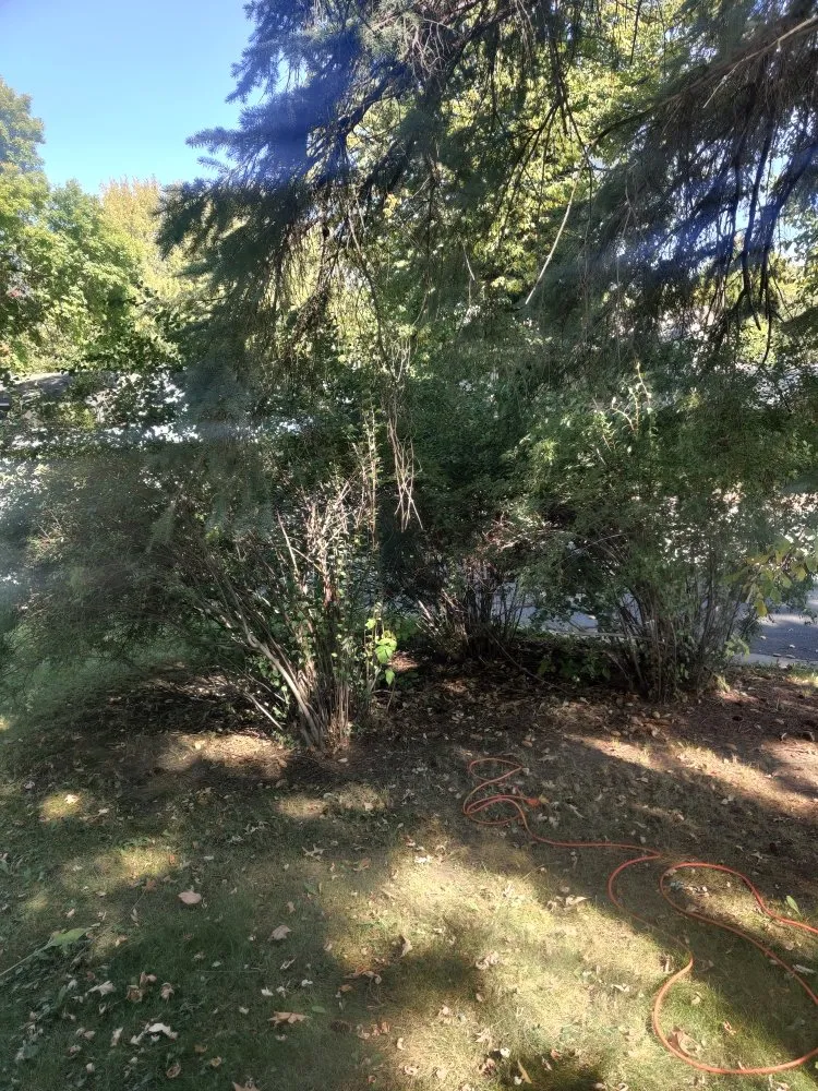 Professional garden landscaping for beautiful yards across Hastings, MN - Triplett Lawn Care