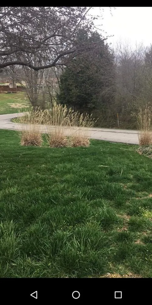 Local residential landscaping in Princeton, IN by Tripple P Lawn And Home Surfaces