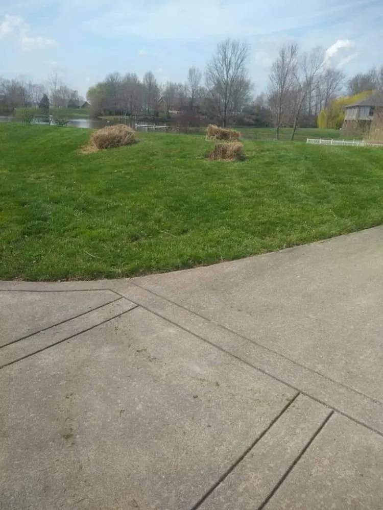 Local lawn mowing service in Princeton, IN - Tripple P Lawn And Home Surfaces