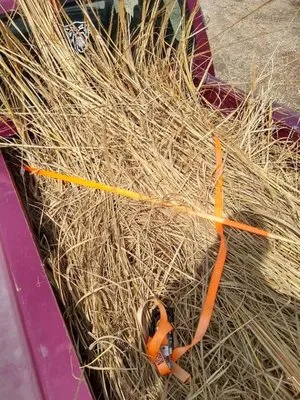 Tripple P Lawn And Home Surfaces