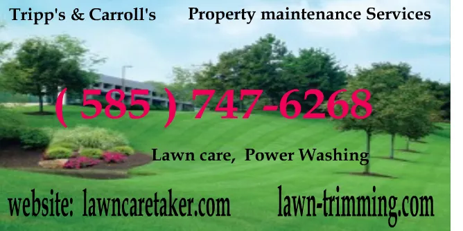Professional landscaping services in Marion, NY by Tripp's & Carroll's