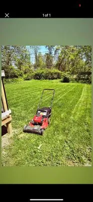 Trippy lawn care Logo