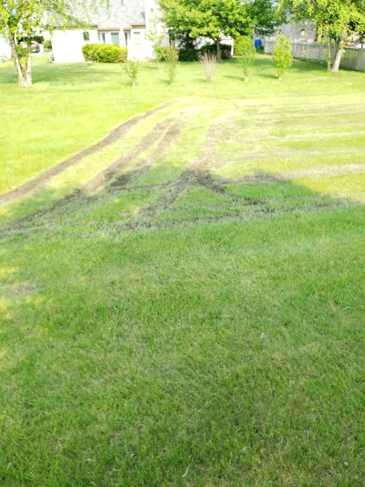 Affordable landscape design for beautiful yards across Fort Wayne, IN - Triscape