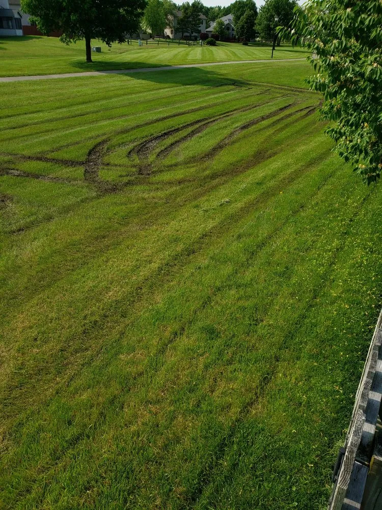 Local landscaping services for year-round maintenance across Fort Wayne, IN - Triscape