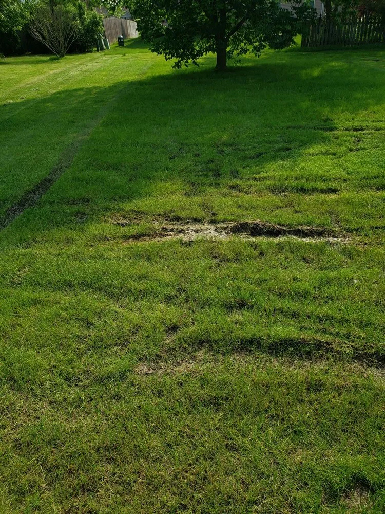 Local landscape installation experts serving Fort Wayne, IN - Triscape