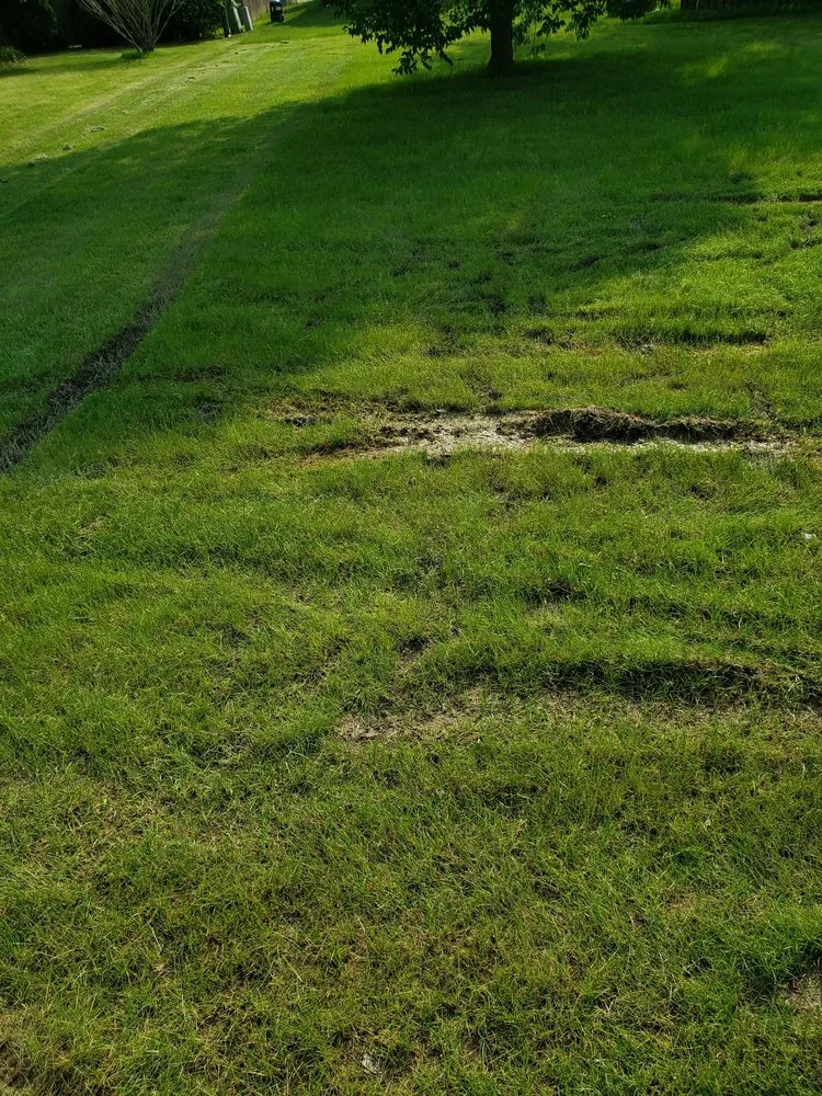 Professional lawn mowing service in Fort Wayne, IN - Triscape