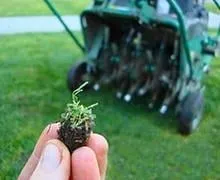 Professional outdoor landscaping for residential properties across Centennial, CO - Trisona Lawn Care