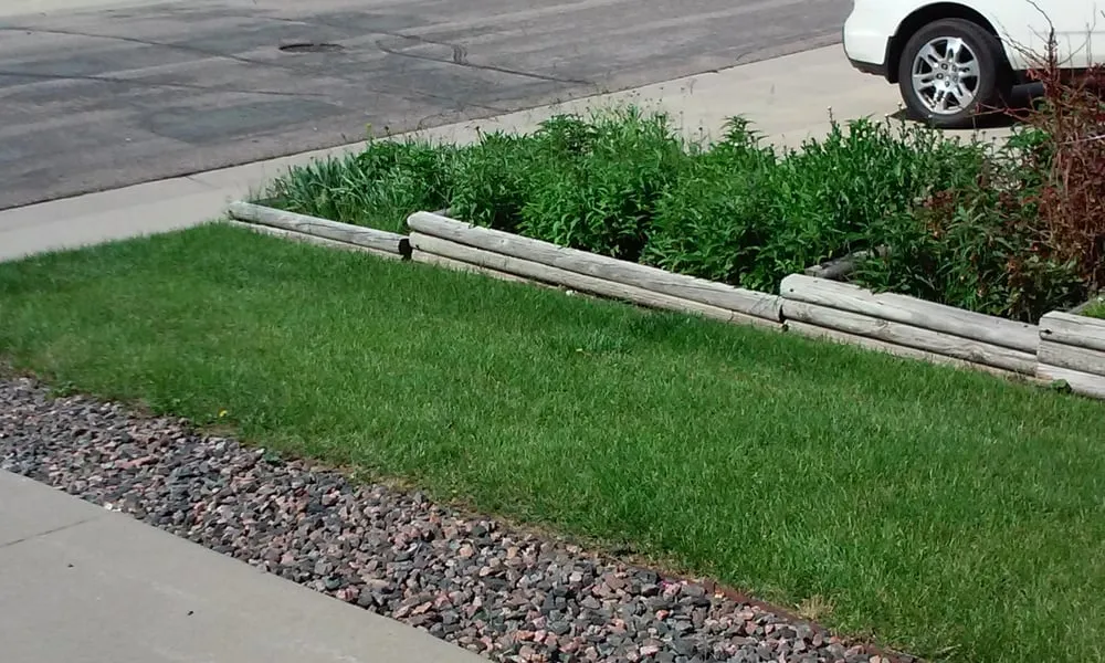 Expert landscape design experts serving Centennial, CO - Trisona Lawn Care