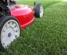 Top-rated outdoor landscaping in Centennial, CO - Trisona Lawn Care