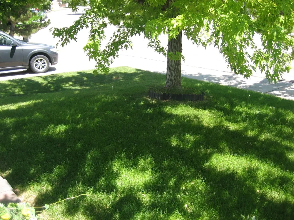 Reliable garden landscaping for homes in Centennial, CO by Trisona Lawn Care